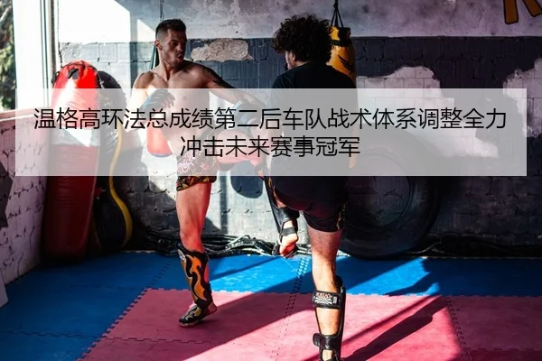 wen-ge-gao-huan-fa-zong-cheng-ji-di-er-hou-che-dui-zhan-shu-ti-xi-tiao-zheng-quan-li-chong-ji-wei-lai-sai-shi-guan-jun-2-325.jpg
